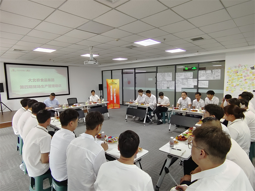 1756371484125915.jpg 5.jpg